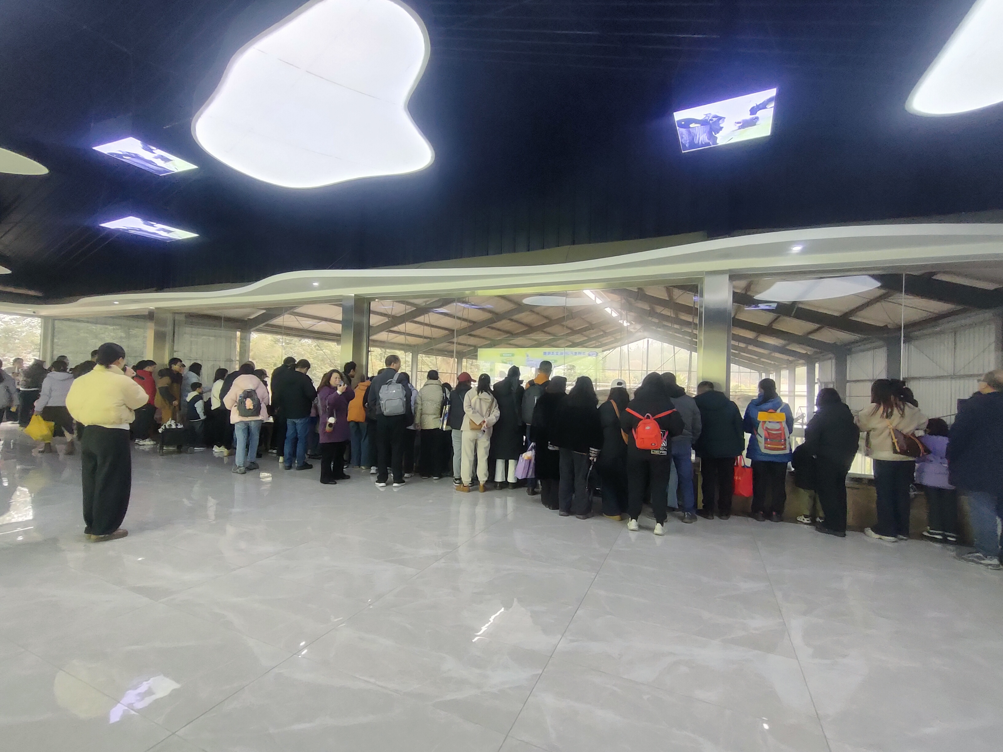 以爱之名,共赴一场自然与成长的约会 - 插图 1