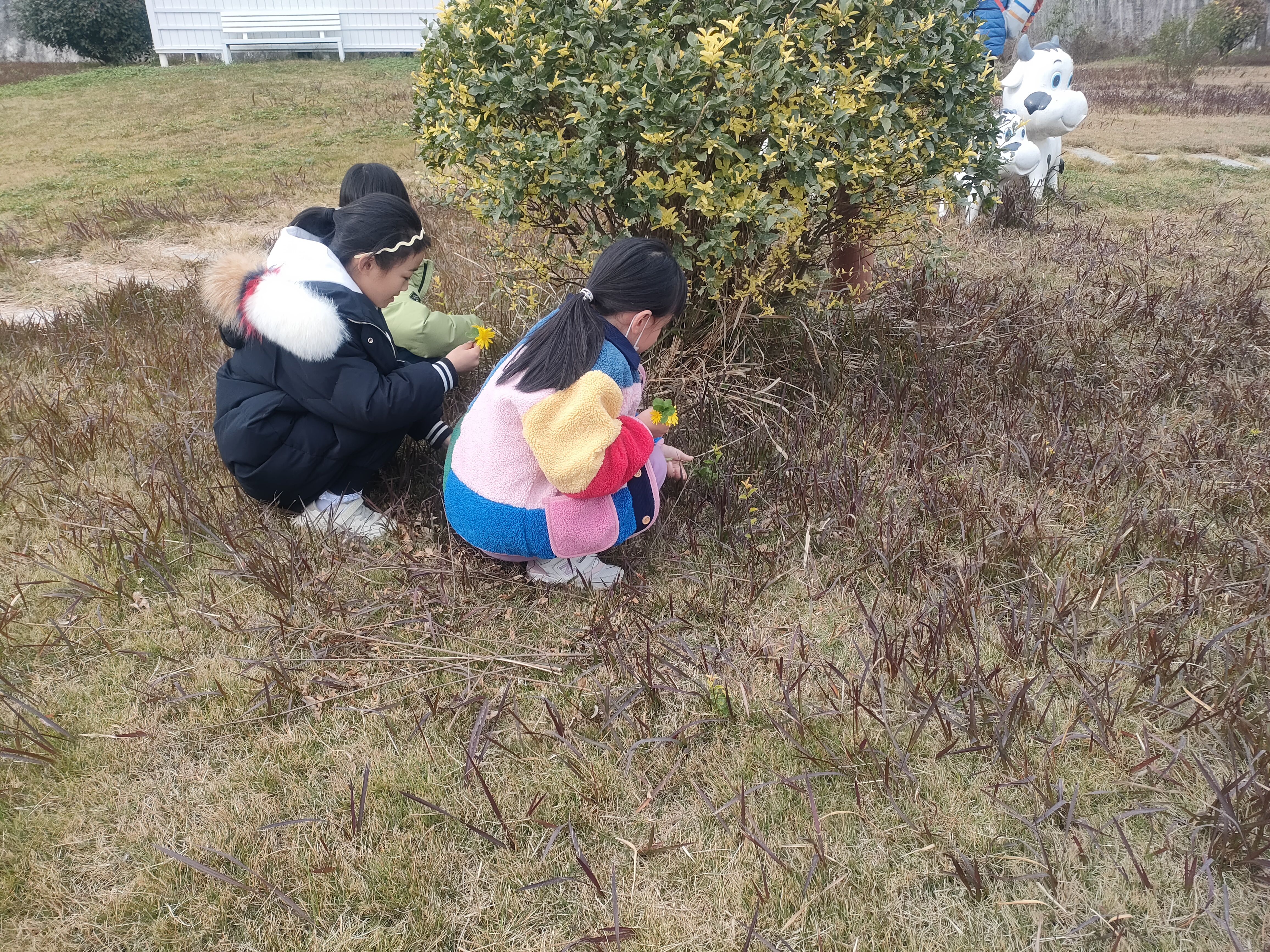 以爱之名,共赴一场自然与成长的约会 - 插图 9