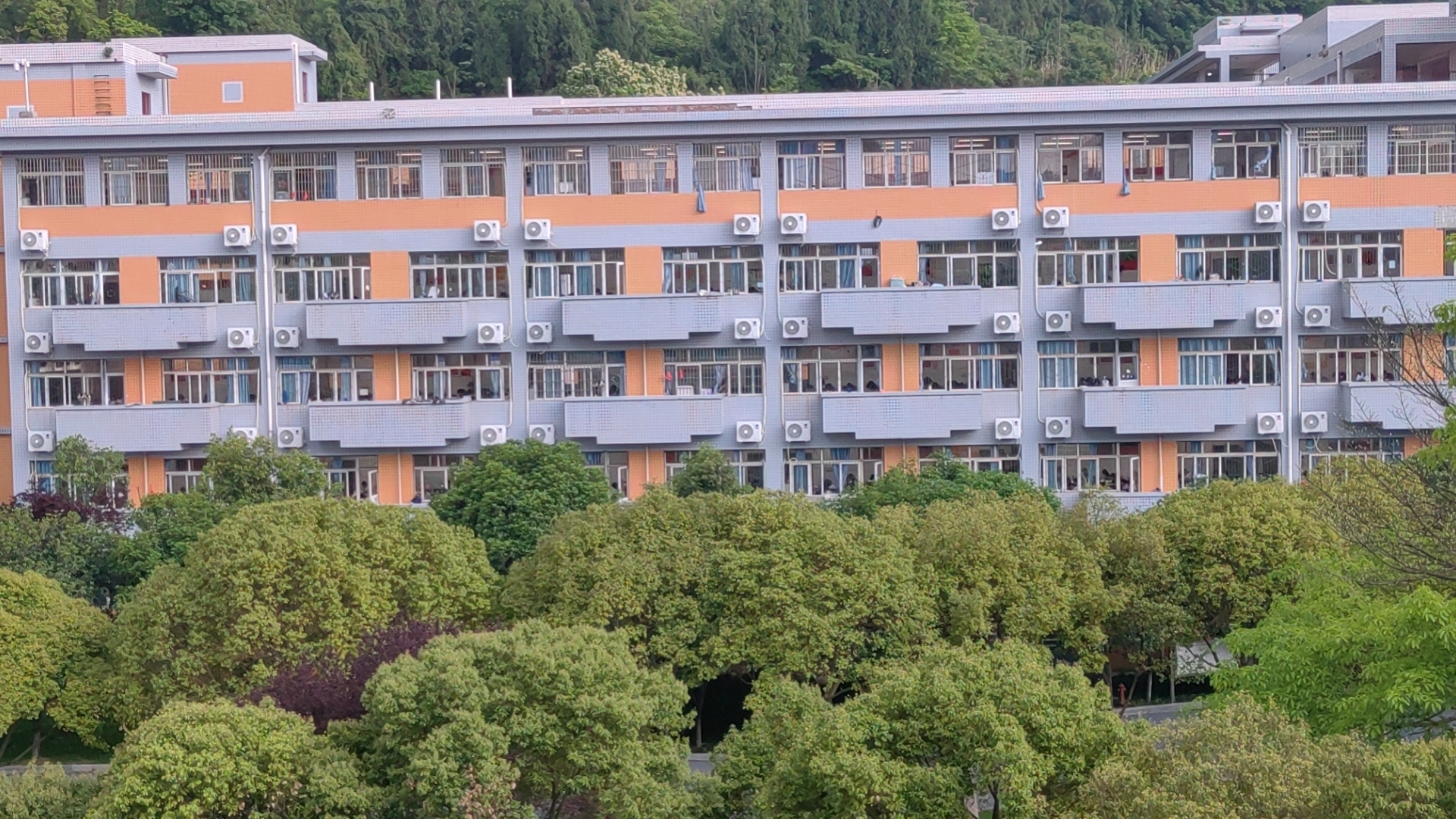 四川攀枝花 - 四川长虹中央空调工程案例图片